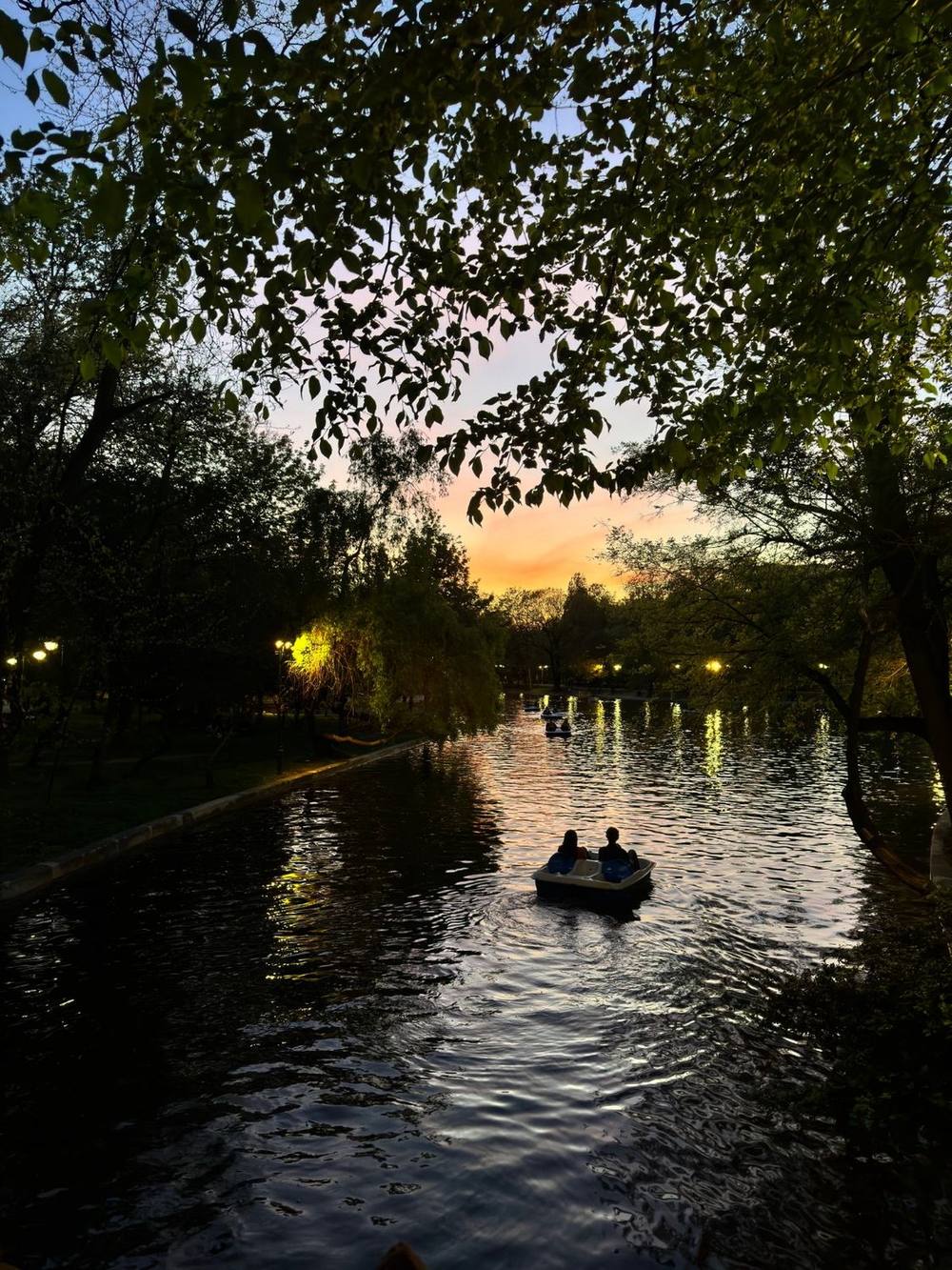Pedalò al tramonto sul laghetto del Parcul Cismigiu